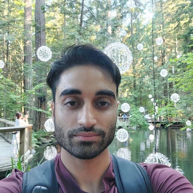 Ali SaraerToosi portrait